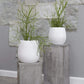 White Benji Ceramic Planter fits up to 7 inch Nursery Pot