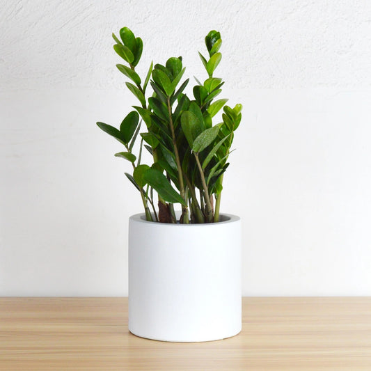 Essential Cylinder Planter | Fits up to 14" Nursery Pot