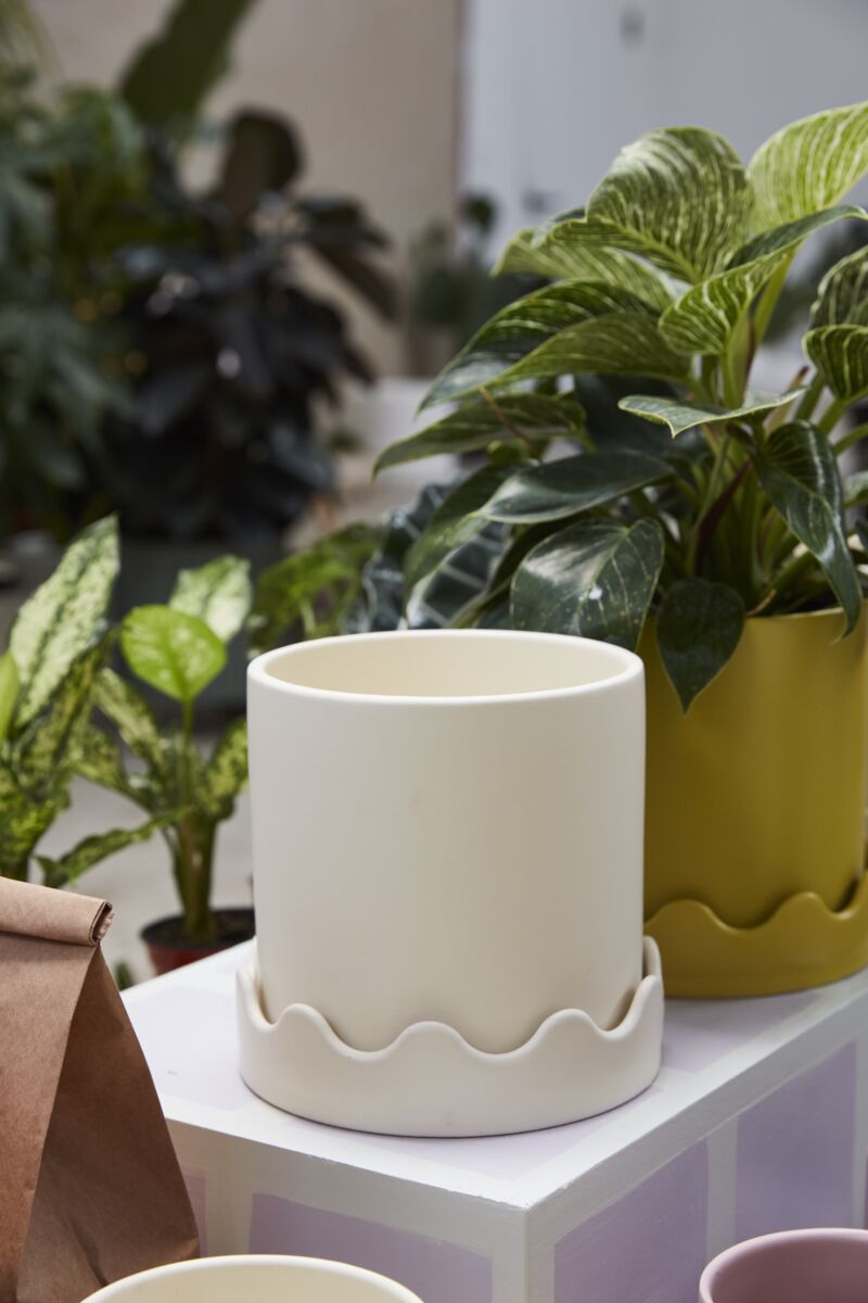 Pissaro White Wavy Planter with Drainage and Tray in 6 inch Diameter