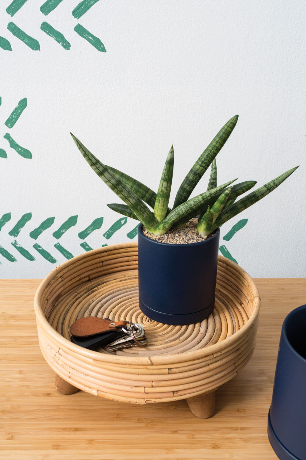 Romey Ceramic Pot with Drainage and Tray | 4 inch Diameter — empty planter, ceramic planter, studio photo — planter for sale by Promise Supply for delivery and pickup in Toronto.