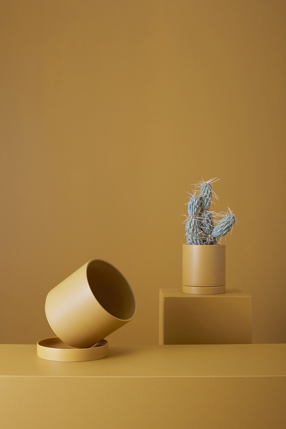 Romey Ceramic Pot with Drainage and Tray | 5 inch Diameter — empty planter, ceramic planter, studio photo — planter for sale by Promise Supply for delivery and pickup in Toronto.