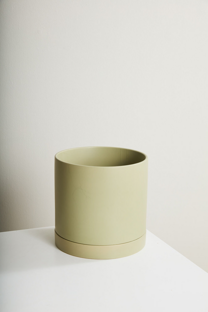 Romey Ceramic Pot with Drainage and Tray | 6 inch Diameter