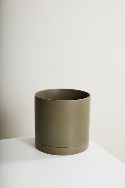 Romey Ceramic Pot with Drainage and Tray | 6 inch Diameter