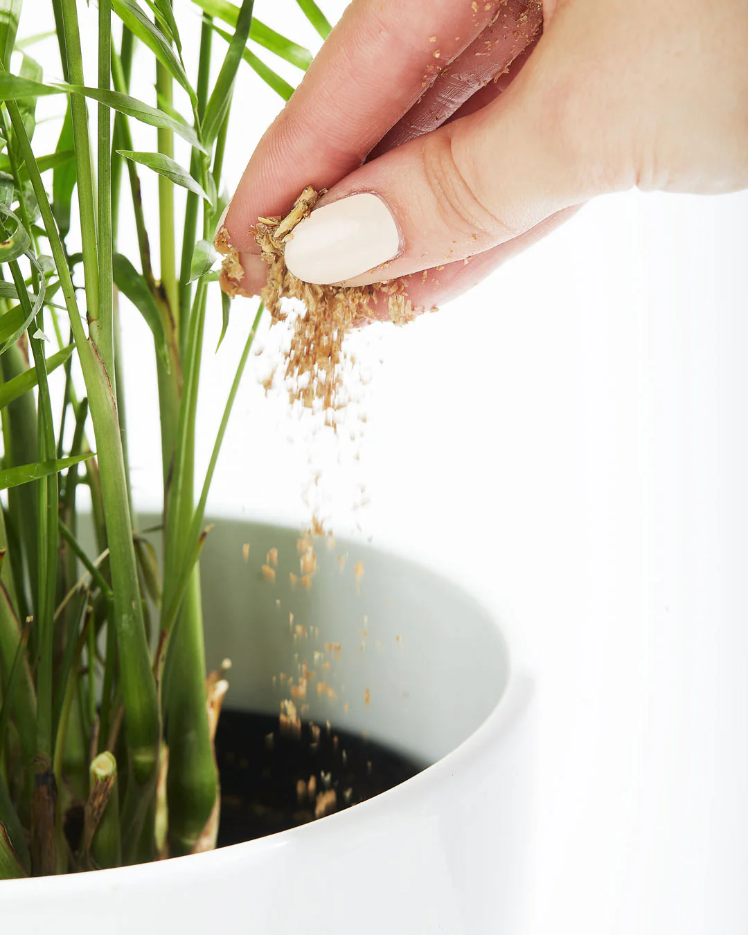 BIOS House Plant Food Fertilizer