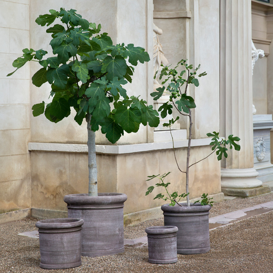 Bergs Potter Cilindro Pot with Drainage | 24.4 Inch Diameter — empty planter, outdoor setting — planter for sale by Promise Supply for delivery and pickup in Toronto.