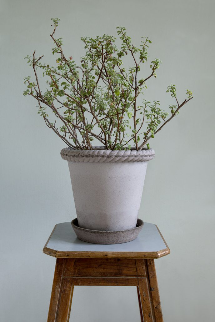 Bergs Potter Emilia Pot with Drainage and Tray | 13.8 Inch Diameter — empty planter, studio photo — planter for sale by Promise Supply for delivery and pickup in Toronto.