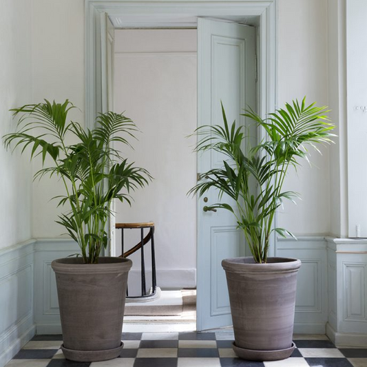 Tall Flora Pot with Drainage and Tray | 23.6 Inch Diameter