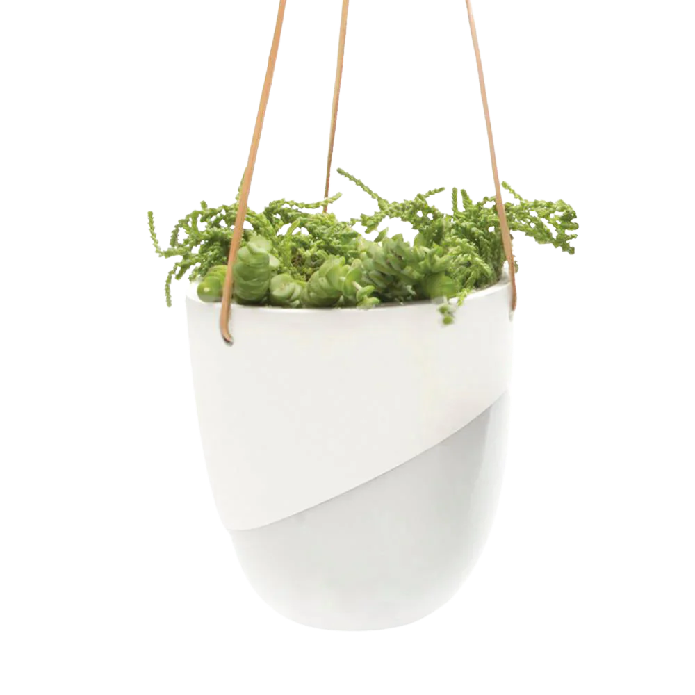 Bobbin Porcelain Modern Hanging Pot - Fits up to 5 Inch Nursery Pot