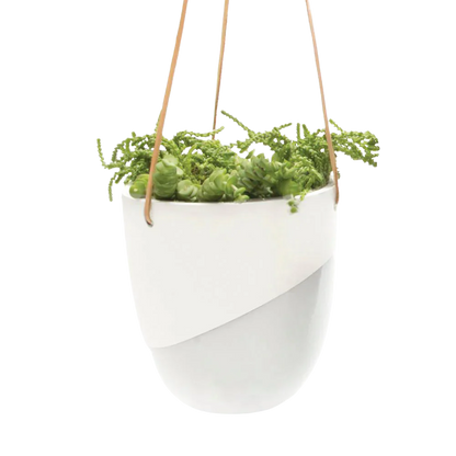 Bobbin Porcelain Modern Hanging Pot - Fits up to 5 Inch Nursery Pot