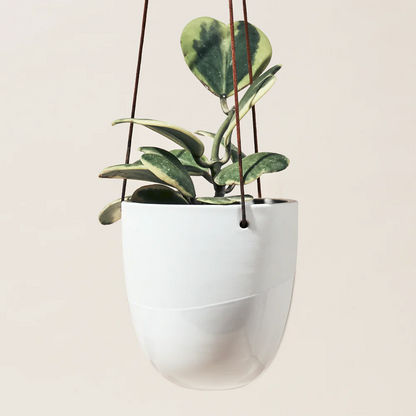 Bobbin Porcelain Modern Hanging Pot - Fits up to 5 Inch Nursery Pot