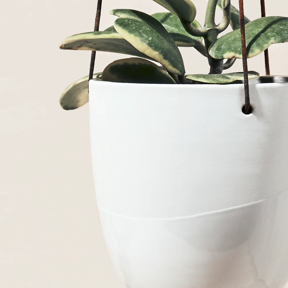 Bobbin Porcelain Modern Hanging Pot - Fits up to 5 Inch Nursery Pot