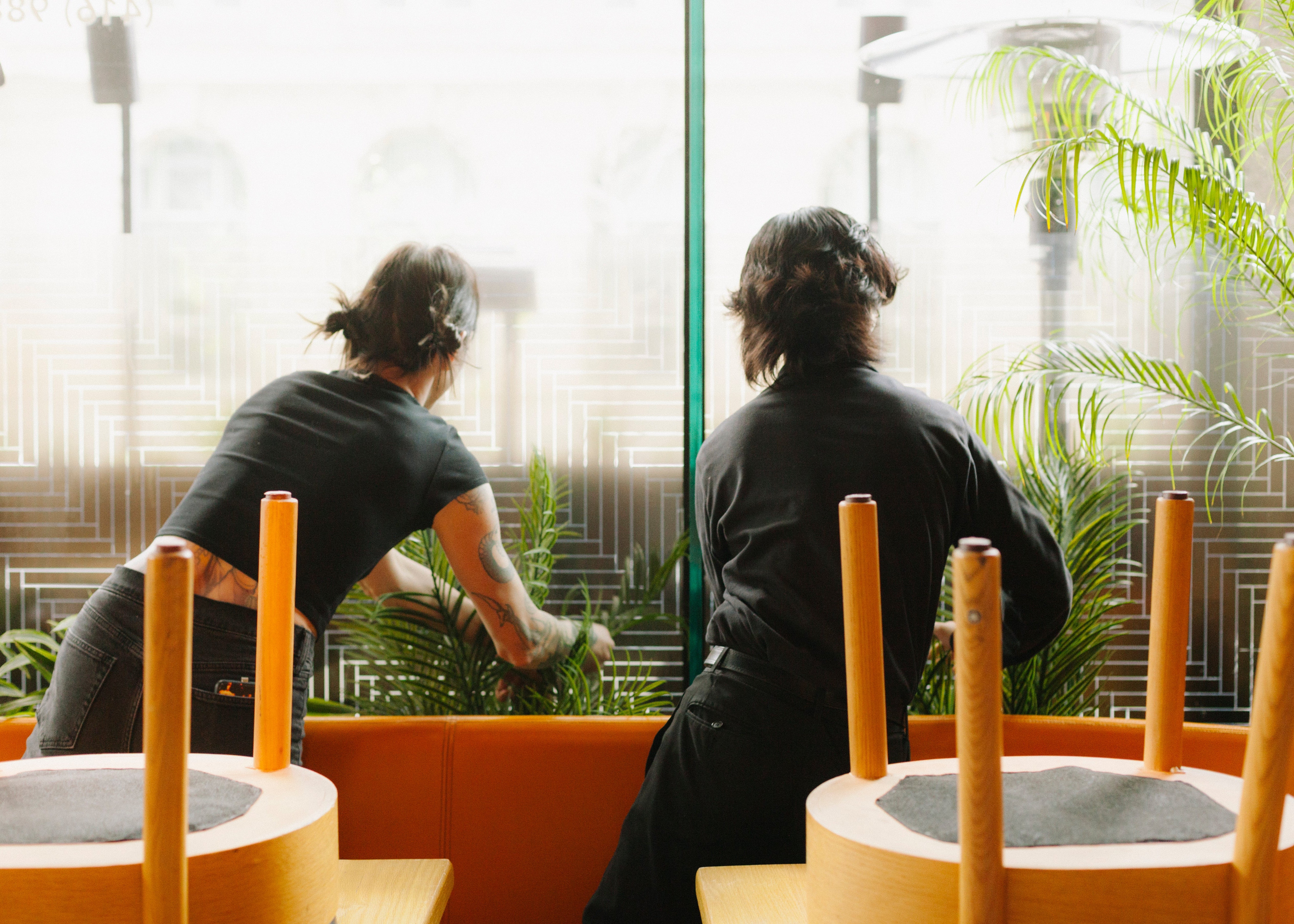 Promise Supply - Toronto Plant Store - Delivering Plants in Toronto