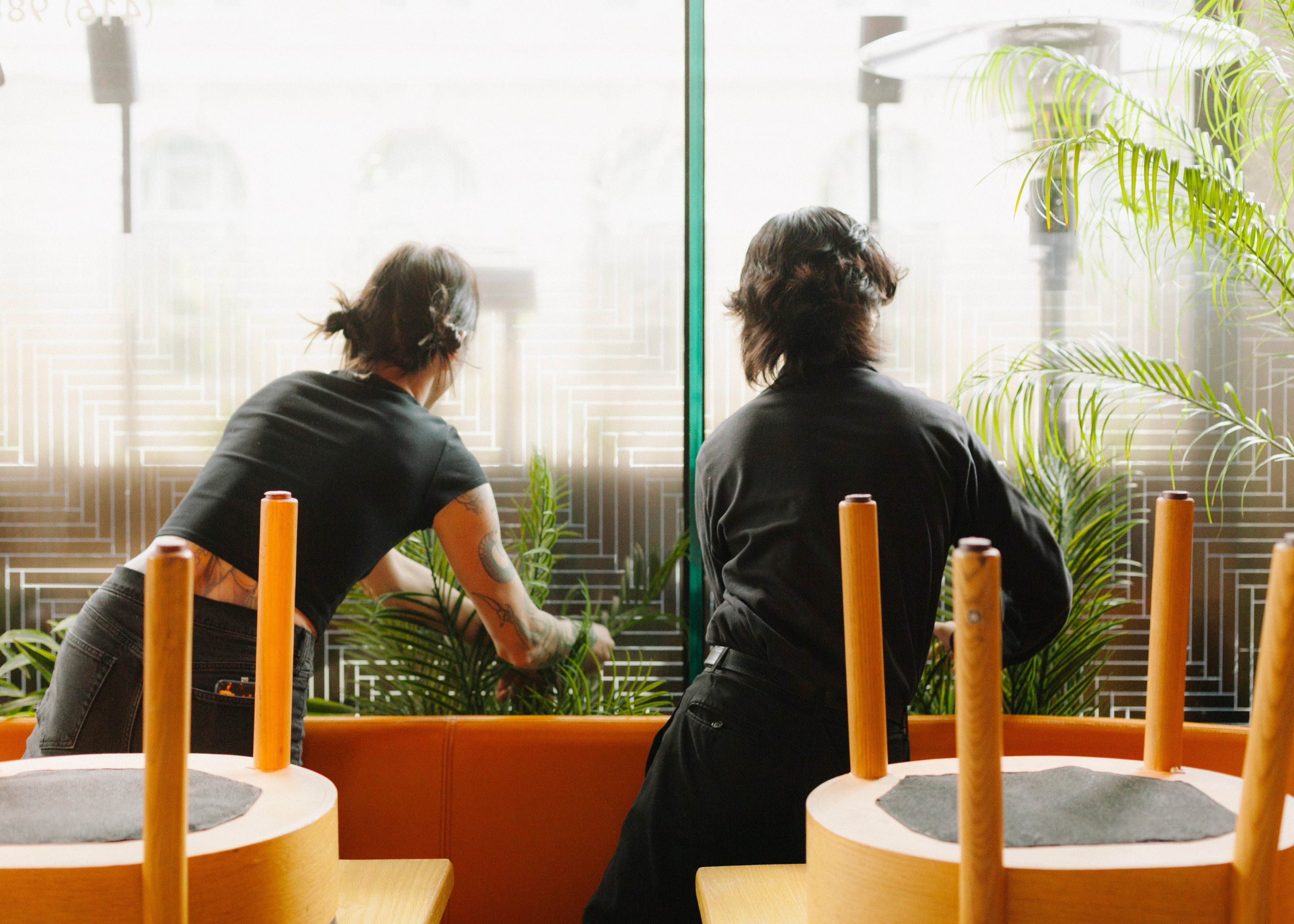 Two people standing in a modern indoor setting installing plants with orange chairs.