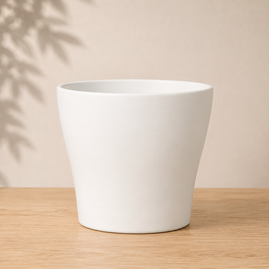 Nova Planter | 6 inch Nursery Pot