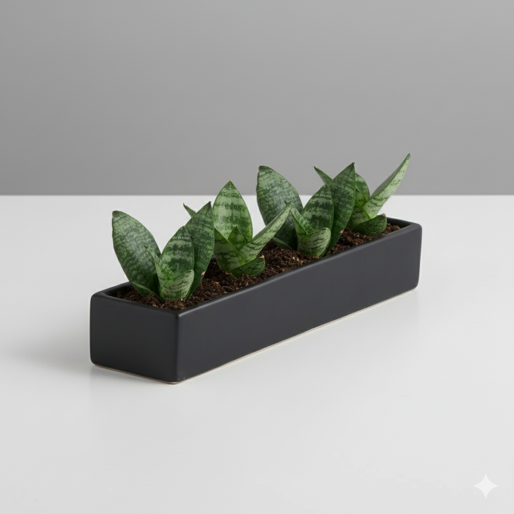 Urban Trough Planter | 3 x 14 inches — empty planter, studio photo — planter for sale by Promise Supply for delivery and pickup in Toronto.