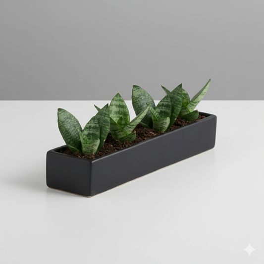 Urban Trough Planter | 3 x 14 inches