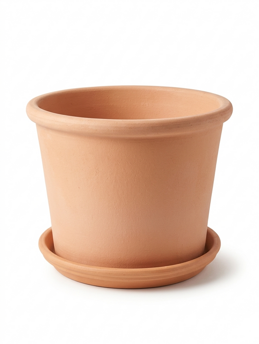 Cylinder Rim Bleached Clay Planter with Drainage and Tray | 13 inch Diameter