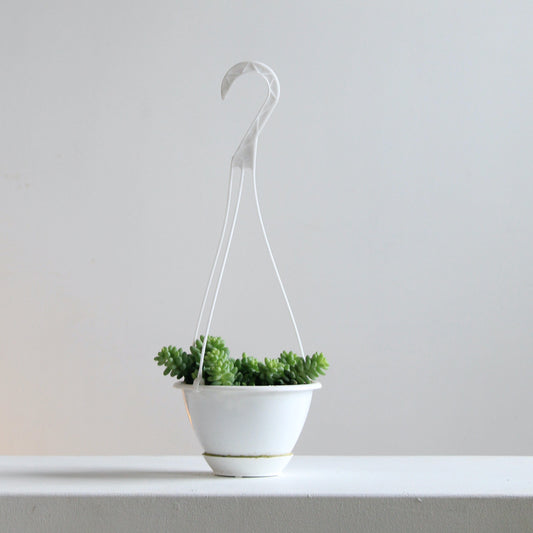 Burro's Tail: Sedum morganianum - 5 inch hanging basket — indoor plant — indoor plant for sale by Promise Supply for delivery and pickup in Toronto.