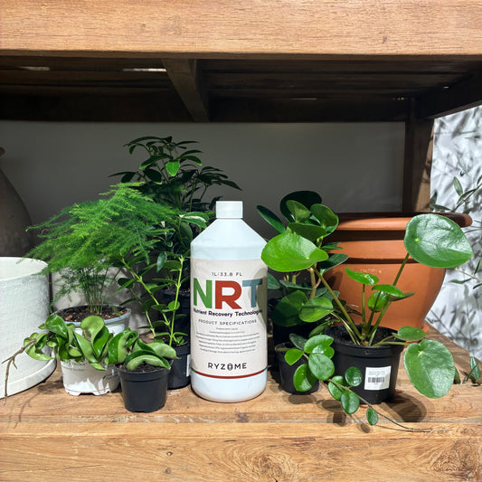 Ryzome Liquid Fertilizer: 11-4-4 in 1L