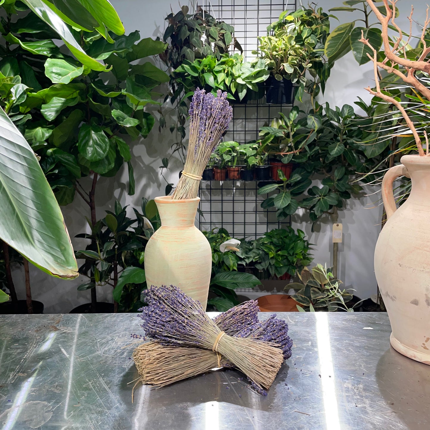 Dried lavender: Lavandula — Dried & Preserved product on white background — for sale by Promise Supply for delivery and pickup in Toronto.