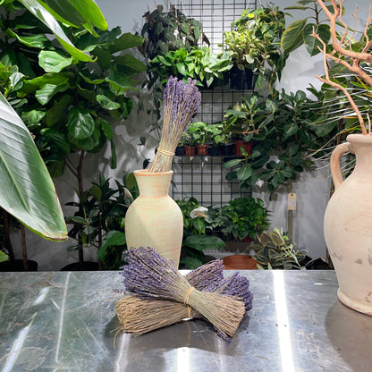 Dried lavender: Lavandula — Dried & Preserved product on white background — for sale by Promise Supply for delivery and pickup in Toronto.