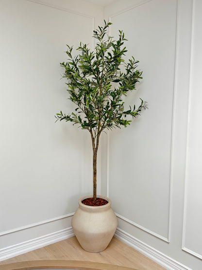 Faux Olive Tree: Olea - 6.5 foot tall