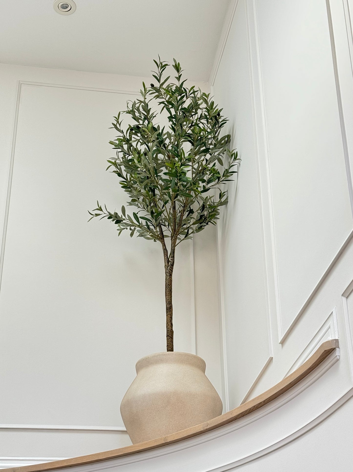 Faux Olive Tree: Olea - 6.5 foot tall