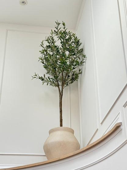 Faux Olive Tree: Olea - 6.5 foot tall