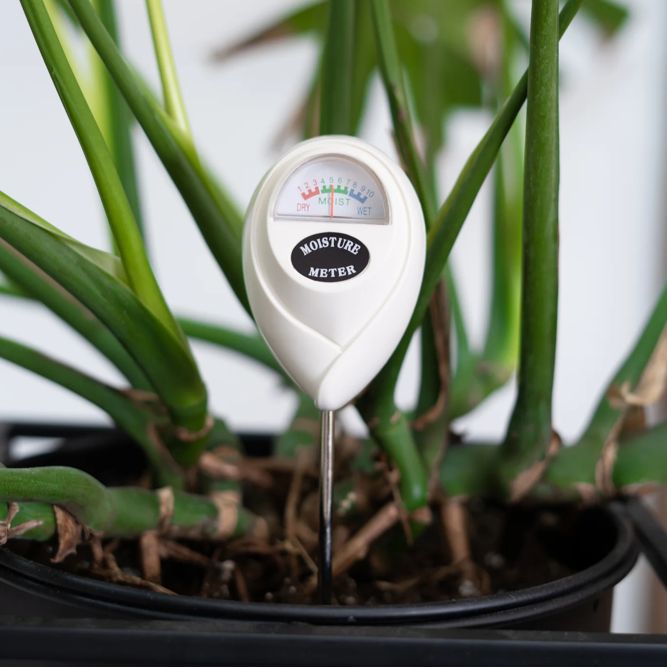 Moisture Meter by Plant Vitamins