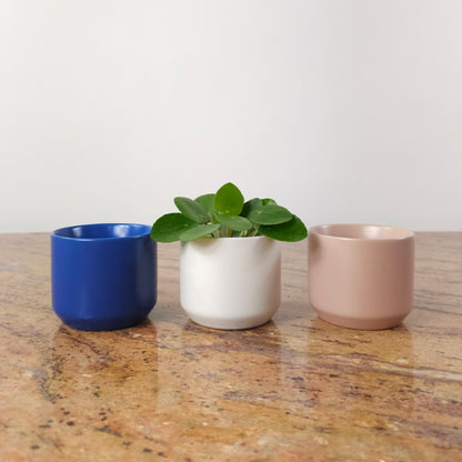 Kendall Ceramic Pot fits up to 2.5 inch Nursery Pot