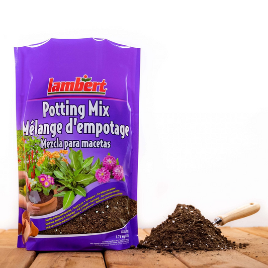 Lambert All Purpose Potting Mix - 4.4L