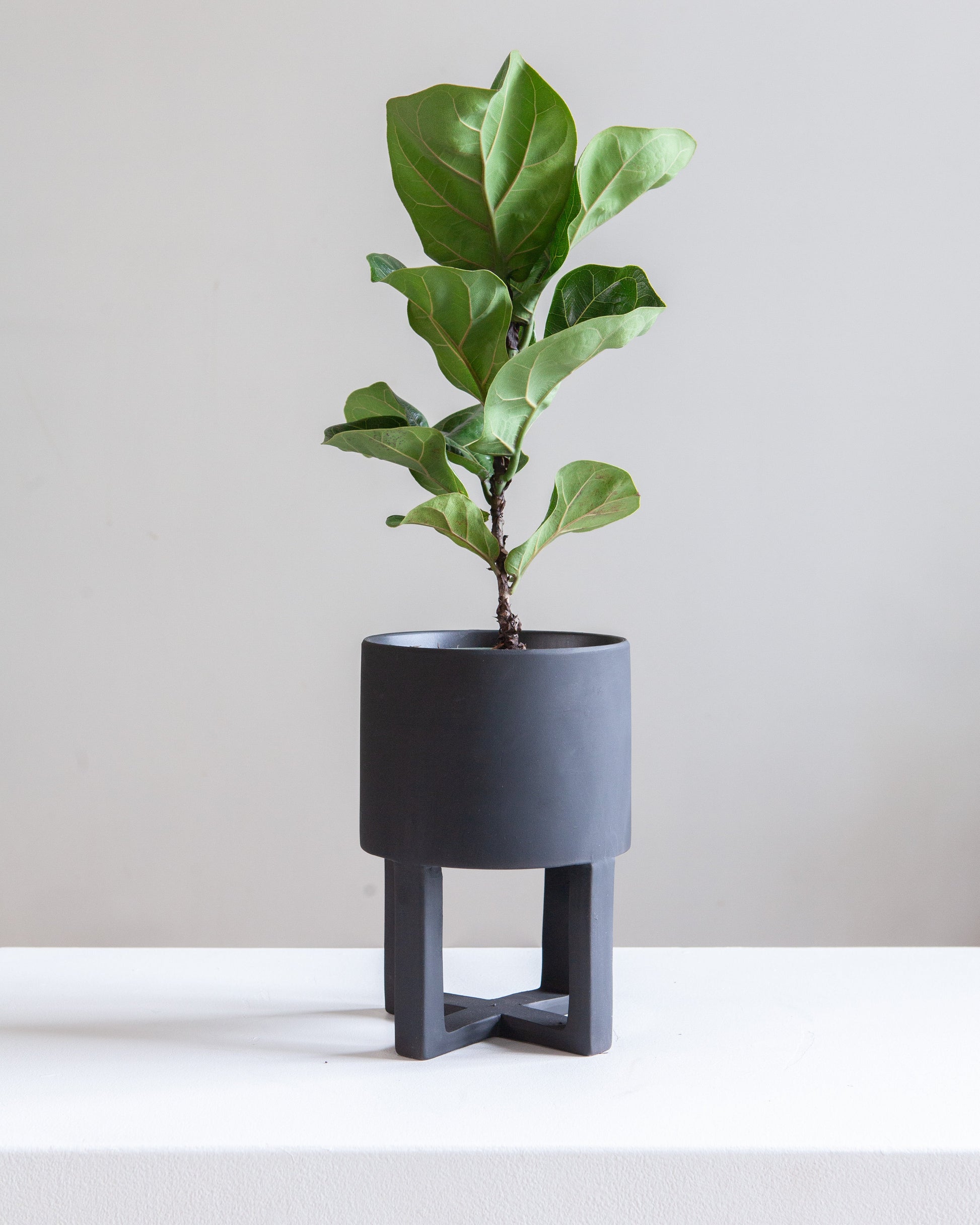 Santurce Footed Planter | 6 inch Nursery Pot — empty planter, studio photo — planter for sale by Promise Supply for delivery and pickup in Toronto.