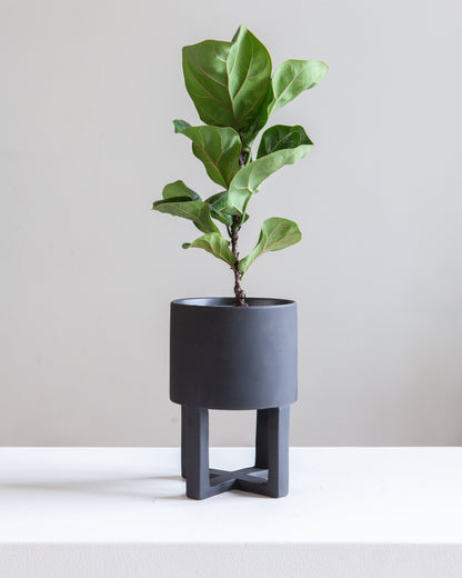 Santurce Footed Planter | 6 inch Nursery Pot — empty planter, studio photo — planter for sale by Promise Supply for delivery and pickup in Toronto.