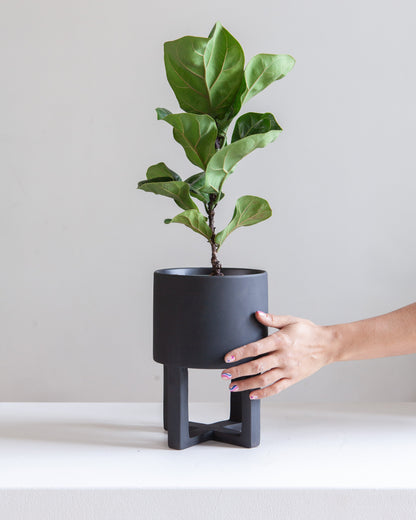 Santurce Footed Planter | 6 inch Nursery Pot — empty planter, studio photo — planter for sale by Promise Supply for delivery and pickup in Toronto.