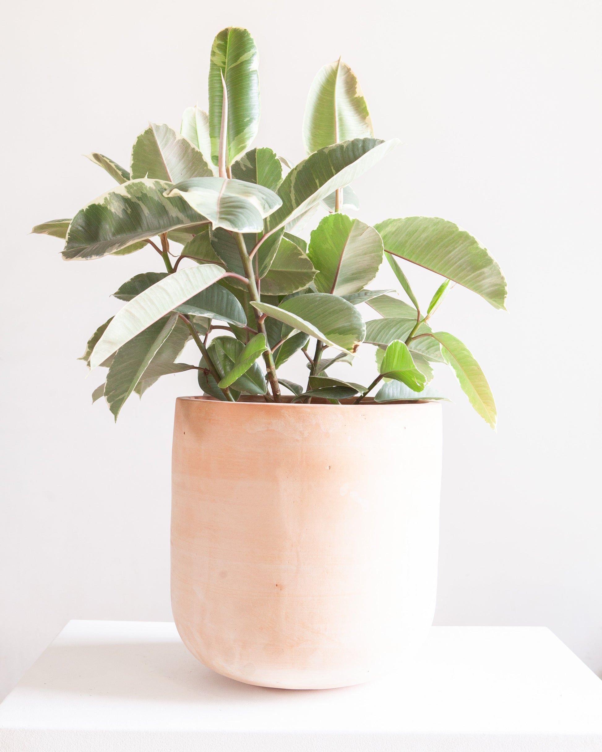 Lerato Planter with Drainage | 13 inch Diameter — empty planter, studio photo — planter for sale by Promise Supply for delivery and pickup in Toronto.