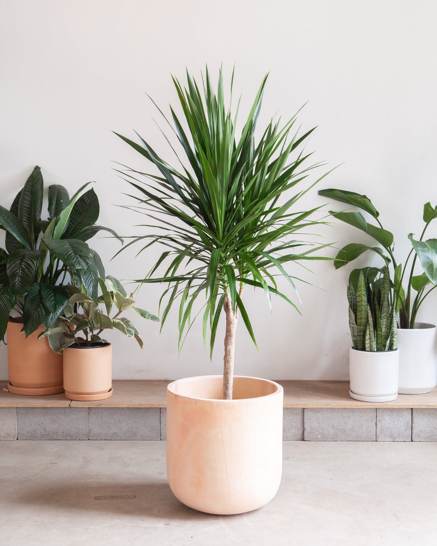 Lerato Planter | 16 inch Nursery Pot
