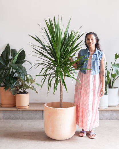 Lerato Planter | 16 inch Nursery Pot