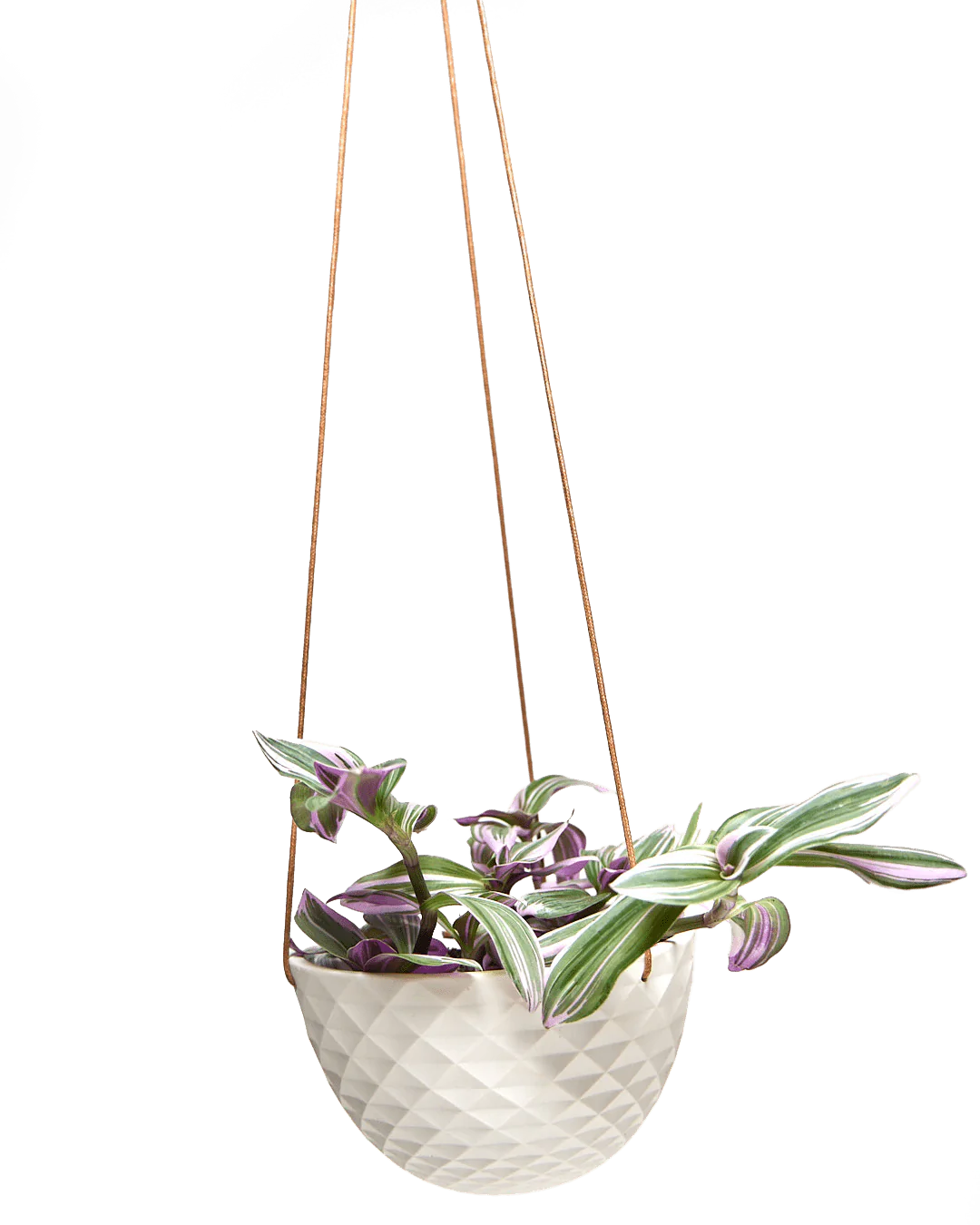 Mini Mofo Porcelain Modern Hanging Planter - Fits up to 6 Inch Nursery Pot