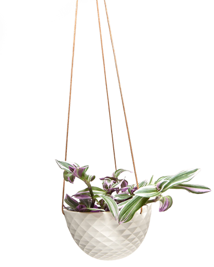 Mini Mofo Porcelain Modern Hanging Planter - Fits up to 6 Inch Nursery Pot