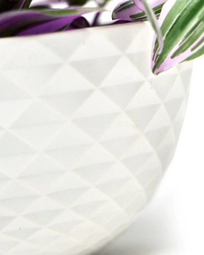 Mini Mofo Porcelain Modern Hanging Planter - Fits up to 6 Inch Nursery Pot