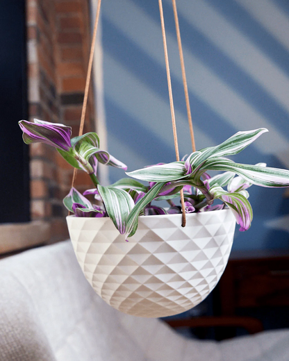 Mini Mofo Porcelain Modern Hanging Planter - Fits up to 6 Inch Nursery Pot