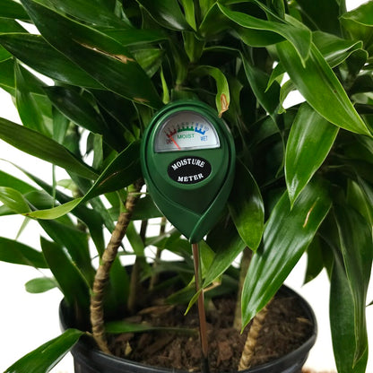 Moisture Meter