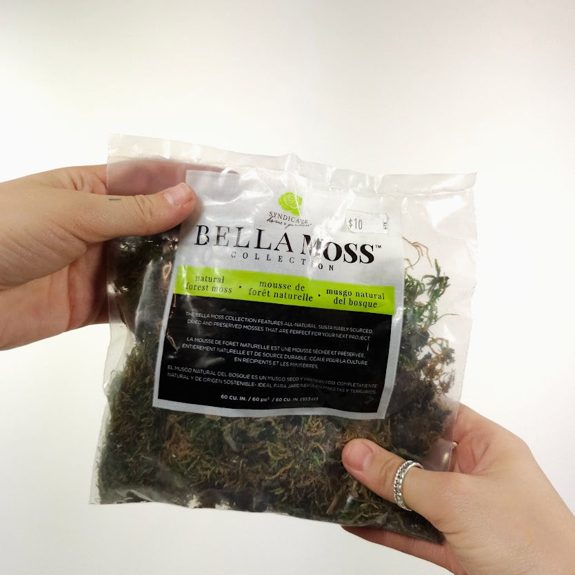 Preserved Natural Forest Moss - 60cu. inch