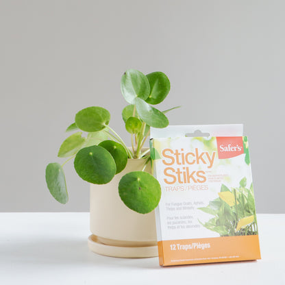 Safer's Sticky Stiks Plant Stakes | 12 Traps/Pack