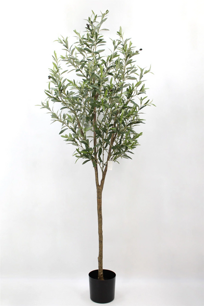 Faux Olive Tree: Olea - 6.5 foot tall