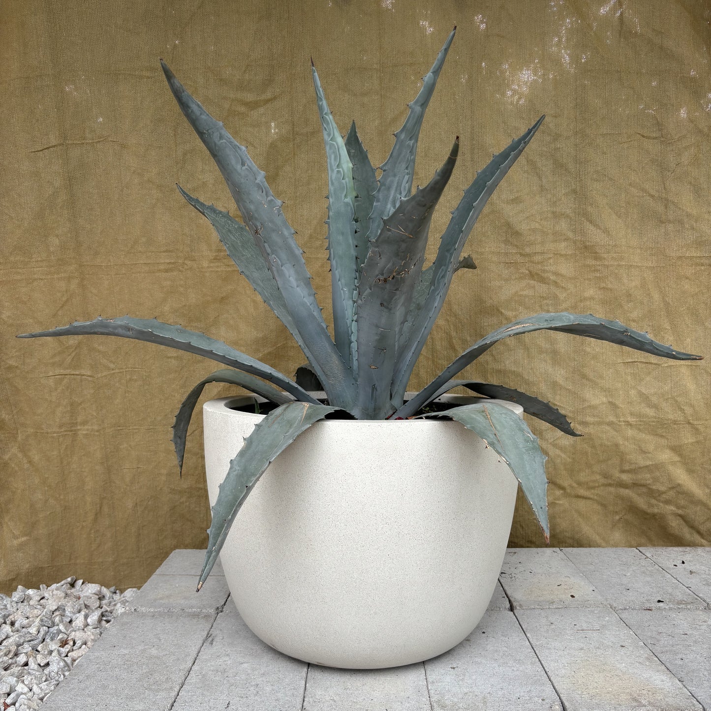 Round Ficonstone Planter | 14 x 10.8 inches