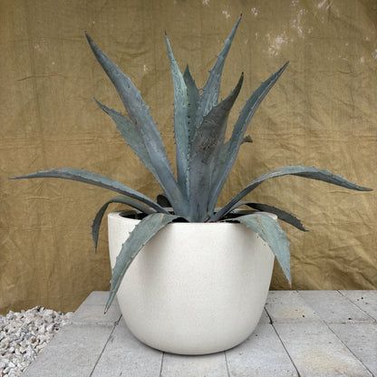 Round Ficonstone Planter | 14 x 10.8 inches