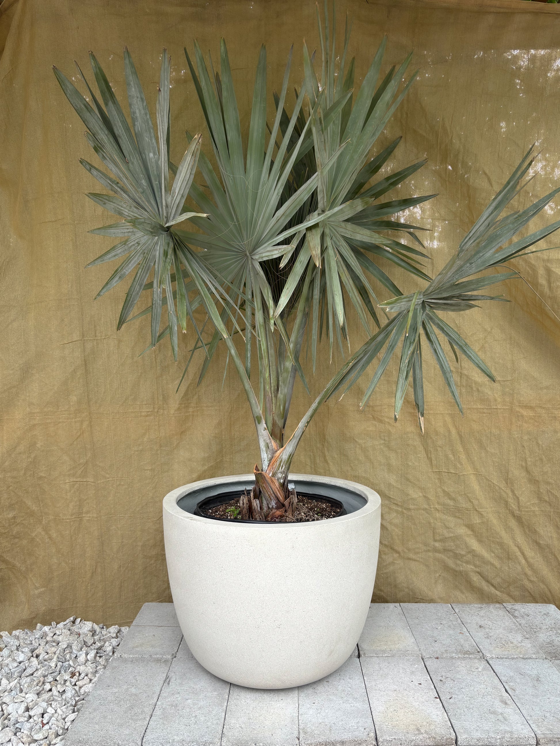 Round Ficonstone Planter | 18 x 13.5 inches — empty planter, round planter, studio photo — planter for sale by Promise Supply for delivery and pickup in Toronto.