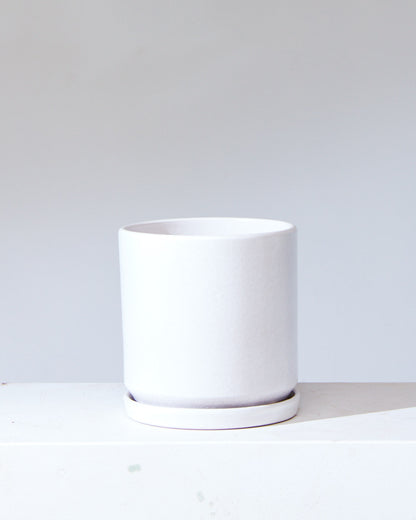 White California Pot with Drainage and Tray in 12 inch