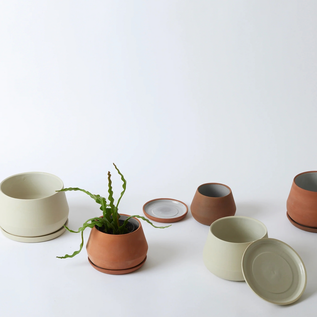 Rancho Ceramic Planter with Drainage and Tray | 8 inch Diameter